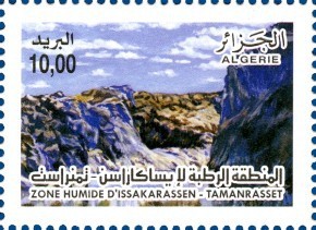 Colnect-464-663-Wetland-of-Issakarassen-Tamanrasset.jpg