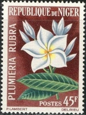 Colnect-2770-910-Red-jasmine-frangipani.jpg