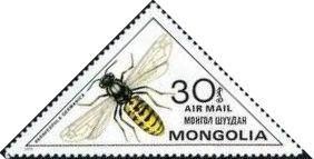 Colnect-911-114-European-Yellow-Jacket-Paravespula-germanica.jpg