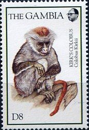 Colnect-4674-250-Kirk-s-colobus.jpg