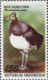 Colnect-1141-807-Maleo-Macrocephalon-maleo.jpg