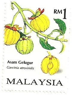 Colnect-1471-380-Rare-Fruits-of-Malaysia-Garcinia-atroviridis.jpg