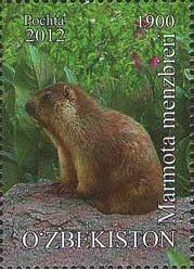 Colnect-1611-182-Menzbier-s-Marmot-Marmota-menzbieri.jpg