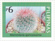 Colnect-2898-945-Mammilaria-sp.jpg