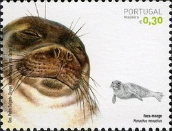 Colnect-546-867-Mediterranean-Monk-Seal-Monachus-monachus.jpg