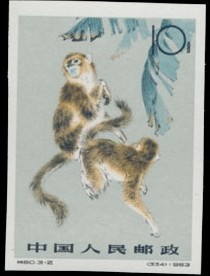 Colnect-831-652-Golden-Snub-nosed-Monkey-Rhinopithecus-roxellana.jpg