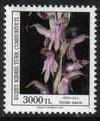 Colnect-1178-927-Orchis-sancta.jpg