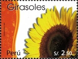 Colnect-1594-921-Open-Sunflower.jpg