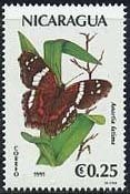 Colnect-1022-453-Banded-Pecock-Anartia-fatima.jpg