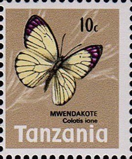 Colnect-1069-156-Bushveld-Purple-Tip-Colotis-ione.jpg