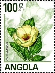 Colnect-1337-063-Peonia-daurica.jpg