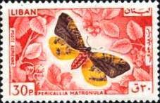 Colnect-1378-321-Matron-Pericallia-matronula.jpg