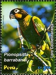 Colnect-1584-582-Orange-cheeked-Parrot-Pionopsitta-barrabandi.jpg