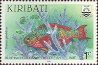 Colnect-1752-124-Blue-barred-Parrotfish-Scarus-ghobban.jpg