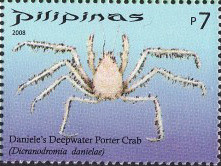 Colnect-2874-954-Daniele--s-Deepwater-Porter-Crab-Dicranodromia-danielae.jpg