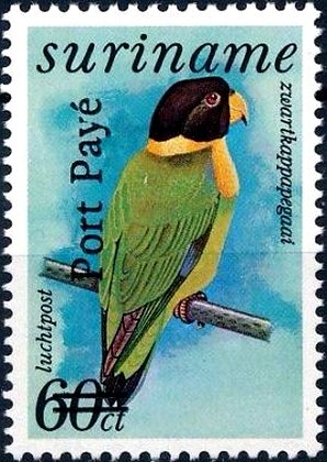 Colnect-3790-895-Caica-Parrot-Pyrilia-caica---Overprinted.jpg