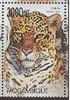 Colnect-5128-730-Panthera-onca.jpg