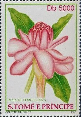 Colnect-6300-196-Porcelain-Rose.jpg