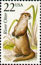 Colnect-199-479-North-American-River-Otter-Lutra-canadensis.jpg