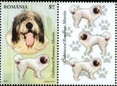 Colnect-1394-169-Romanian-Mioritic-Shepherd-Canis-lupus-familiaris.jpg