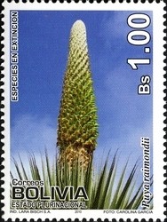 Colnect-1415-627-Endangered-Species---Puya-raimondii.jpg