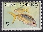 Colnect-1621-933-Yellowtail-Snapper-Ocyurus-chrysurus.jpg