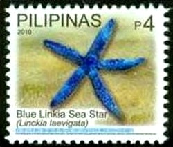 Colnect-1832-616-Blue-Linkia-Sea-Star-Linckia-laevigata.jpg