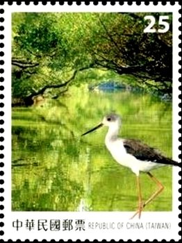 Colnect-2694-676-Black-winged-Stilt-Himantopus-himantopus.jpg