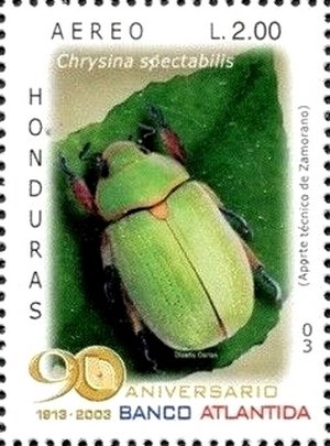 Colnect-3742-025-Bronze-Jewel-Scarab-Chrysina-spectabilis.jpg