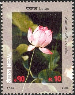 Colnect-550-414-Flower-series-No-4---Lotus.jpg