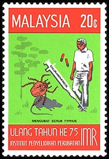 Colnect-982-772-Scrub-Typhus.jpg