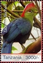 Colnect-1691-019-Fischer-s-Turaco-Tauraco-fischeri.jpg