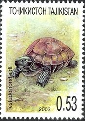 Colnect-1738-811-Horsfield%E2%80%99s-Tortoise-Testudo-horsfieldii.jpg