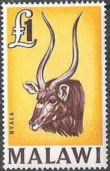 Colnect-488-516-Nyala-Tragelaphus-angasi-.jpg