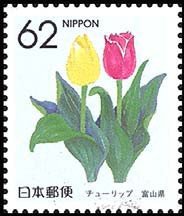 Colnect-512-948-Tulip-Toyama.jpg