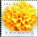 Colnect-5153-509-Tagetes-erecta.jpg