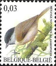 Colnect-567-765-Marsh-Tit-Parus-palustris.jpg