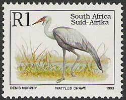 Wattled-Crane-Grus-carunculata-Type-II-English-Inscription.jpg