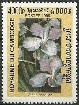 Colnect-1855-716-Vanda-coerulea.jpg