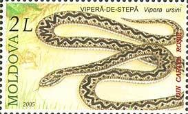 Colnect-191-870-Meadow-Viper-Vipera-ursinii.jpg