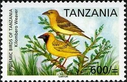 Colnect-1690-909-Kilombero-Weaver-Ploceus-burnieri.jpg