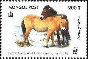 Colnect-1290-134-Przewalski%E2%80%99s-Horse-Equus-przewalskii.jpg