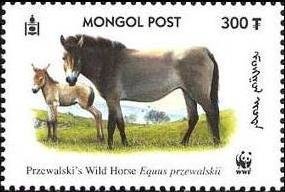 Colnect-1290-135-Przewalski%E2%80%99s-Horse-Equus-przewalskii.jpg