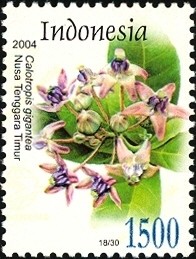 Colnect-1586-576-Flora---Calotropis-gigantea.jpg