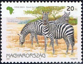 Colnect-610-651-Burchell-rsquo-s-Zebra-Equus-quagga-burchellii.jpg