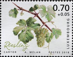 Colnect-6287-002-Riesling.jpg