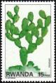 Colnect-4510-001-Opuntia.jpg