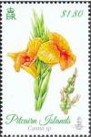 Colnect-4013-010-Canna-sp.jpg