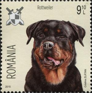 Colnect-5897-602-Rottweiler.jpg