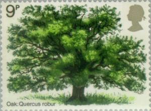 Colnect-121-902-Oak-Tree.jpg